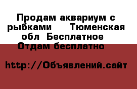Продам аквариум с рыбками.  - Тюменская обл. Бесплатное » Отдам бесплатно   